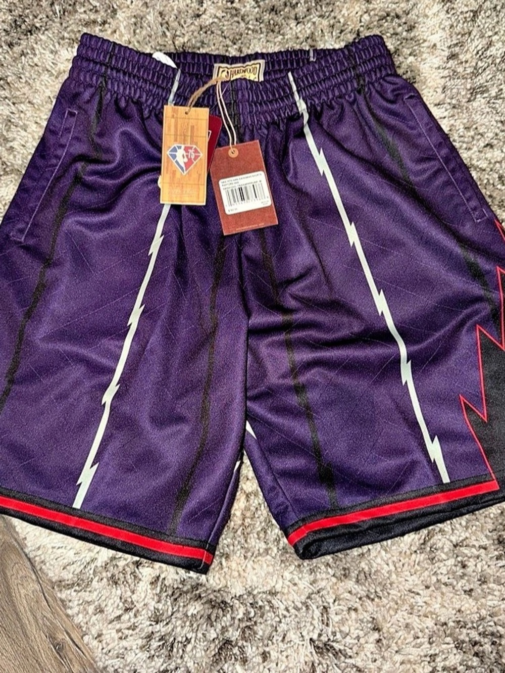 Hardwood Classics Swingman Collection shorts Athletic Shorts in Purple & Black T